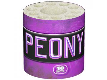 Peony! - Lesli