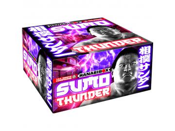 Sumo Thunder - Lesli