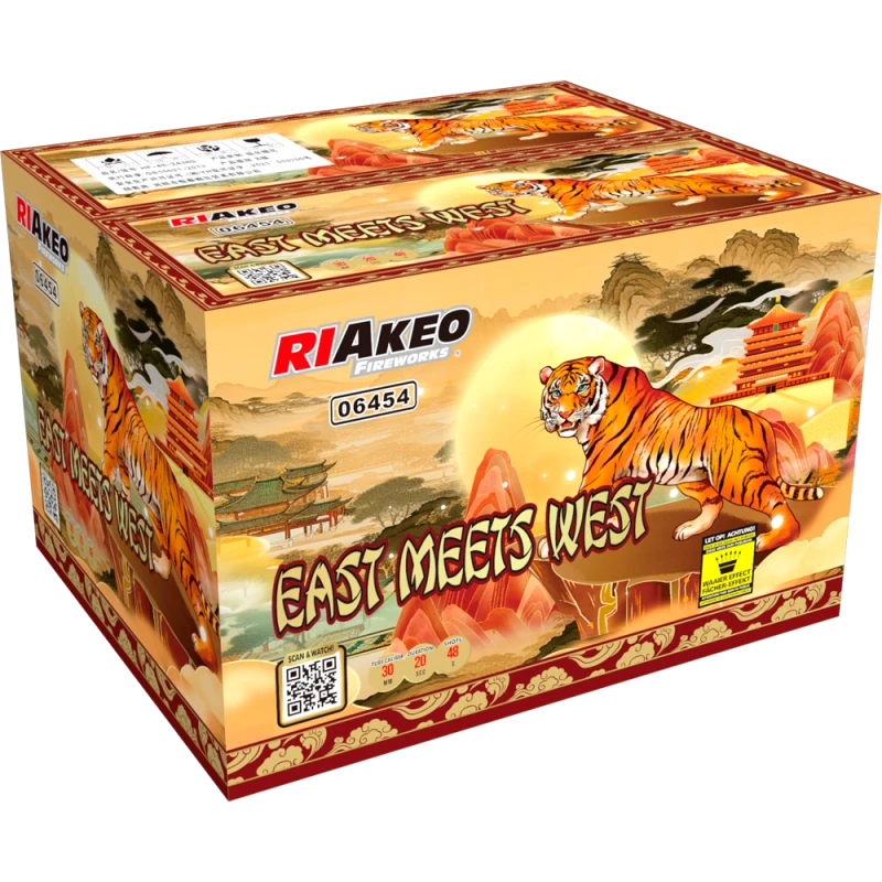 East meets West - RIAkeo