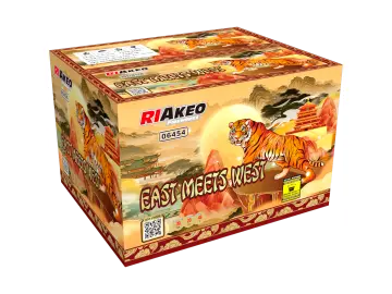 East meets West - RIAkeo