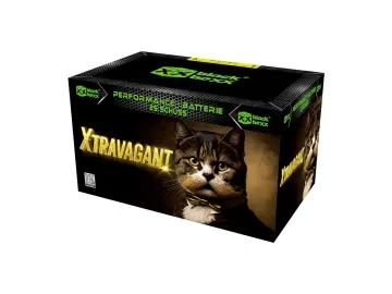 Xtravagant - Blackboxx